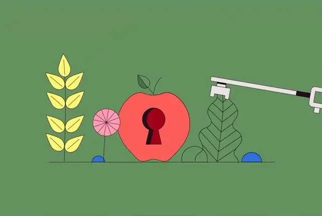 ZeroVFX Animation Video